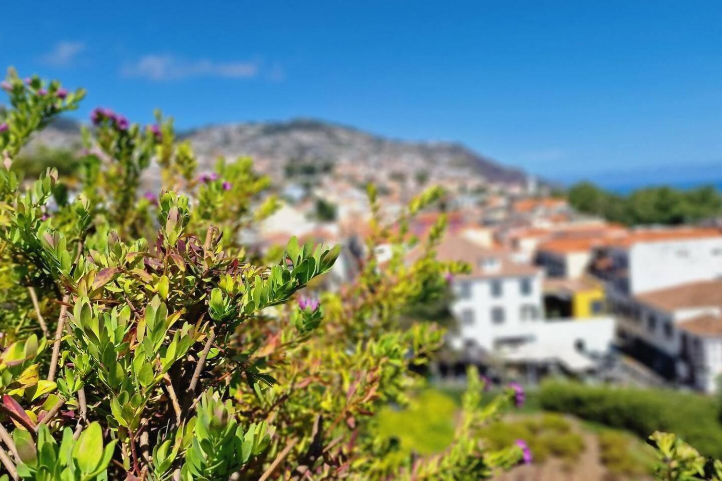 Empire Luxury Savoy Insular Appartement Funchal (Madeira)